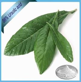 China White Powder Loquat Leaf Extract 25%-98% Ursolic Acid Good Ethanol Solubility supplier