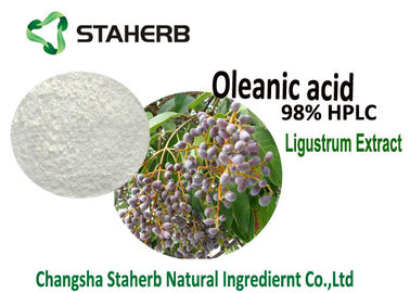 China 100% Organic Pure Natural Plant Extracts Oleanic Acid 98% HPLC Glossy Privet Fruit / Ligustrum Lucidum Extract supplier