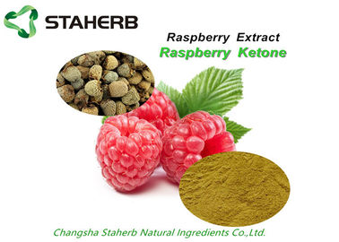 China Weight Losing Raw Matreials Raspberry Extract Plant Extract Raspberry Ketone 99% supplier