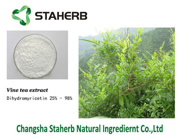 China Dihydromyricetin Vine Tea Extract supplier