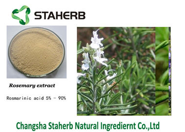 China Ursolic Acid Rosemary Herbal Plant Extract supplier