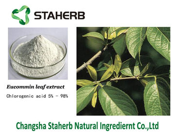 China Clean Heat Chlorogenic Acid Extract Eucommia Leaf Extract Plant extract supplier