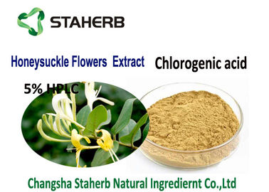 China Honeysuckle Flowers Chlorogenic Acid Extract Light Yellow Powder Food Grade supplier