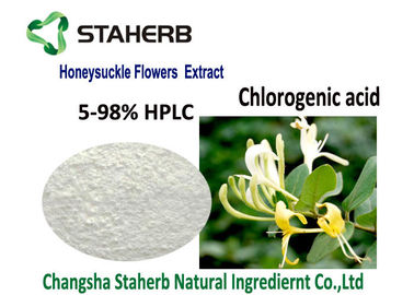 China Pharma Grade Chlorogenic Acid Extract , API Natural Honeysuckle Flower Extract supplier