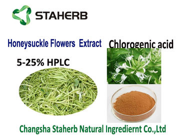 China Natural Plant  Chlorogenic Acid Extract Anti Inflammatory 50-90%HPLC CAS 327 97 9 supplier