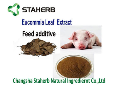 China Feed Additive Chlorogenic Acid Extract , Ulmoides Oliver Eucommia Extract Powder supplier