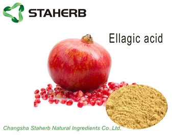 China Organic Pomegranate Peel Extract Powder 90% Ellagic Acid HPLC Tumour Resistant supplier
