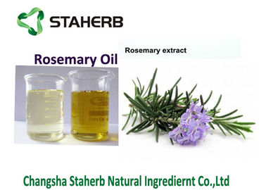 China Rosemary leaf Extract,Rosemary essential oil for Food  and cosmetics.100% natural herb extract supplier