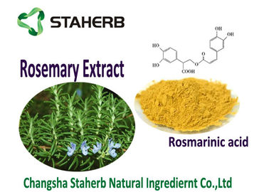 China Oil Soluble Rosemary Leaf Powder Light Yellow Color Supercritical CO2 Extraction supplier