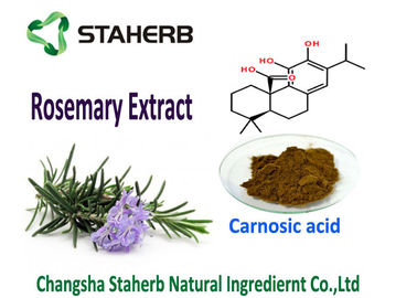 China Natural Rosemary Leaf Extract Antioxidants Carnosic Acid 5-90% Good Oil Souble Food Additive supplier