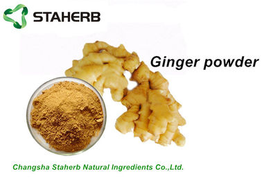 China Dehydrated Pure Ginger Extract Powder / Root Powder Food Health Product supplier