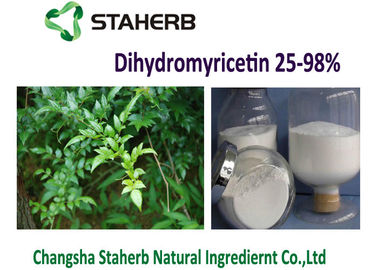 China Natural Vine Tea Ampelopsis Grossedentata Extract Dihydromyricetin DMY Powder supplier