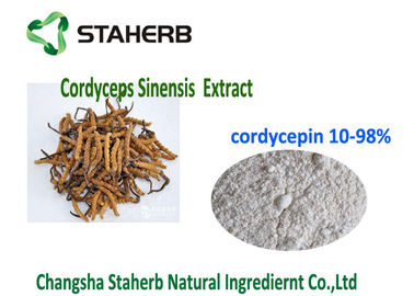 China 10- 98% Cordycepin Natural Organic Cordyceps Extract Powder CAS 73 03 0 supplier