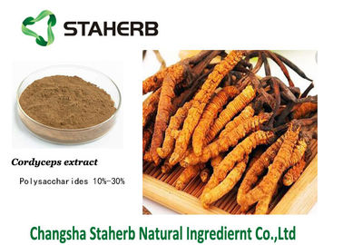 China Mushroom extract Cordyceps extract Polysaccharides Male Enhancement Powder supplier