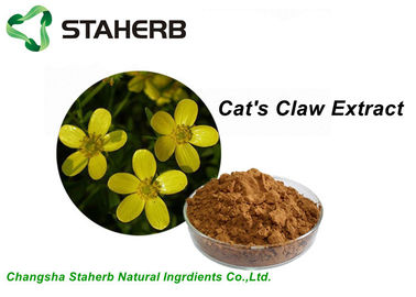 China Yellow Brown Powder Herbal Extract Ratios , Cat's Claw Extract  P.E 5/1 10/1 20/1 TLC / HPLC supplier