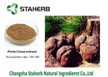 China Brown Powder Poria Cocos Extract Standard Reference Material Anti - Lung Cancer supplier