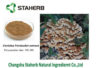 China Krestin PSK Antibacterial Plant Extracts , Coriolus Versicolor Mushroom Extract Polysaccharides supplier