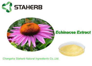 China 100% Natural Standard Reference Materials , Herb Medicine Echinacea Purpurea Extract Cichoric Acid 2% supplier