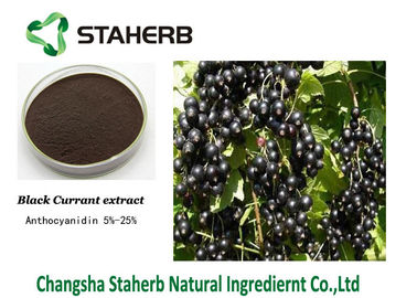 China Black Currant Fruit Concentrated Plant Extract Powder Berry Anthocyanin Anti - Aging supplier