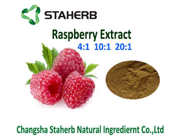 China Rubus Chingii Herbal Extract Ratios Raw Materials Raspberry Extract Powder Raspberry Keton 4% supplier