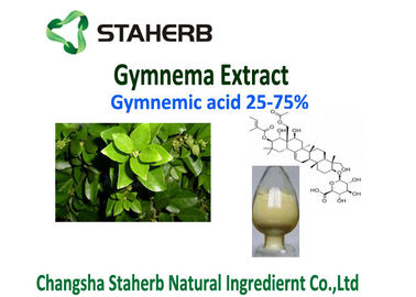 China Weight Losing Gymnema Sylvestre Leaf Extract  Powder 25% Gymnemic Acids supplier
