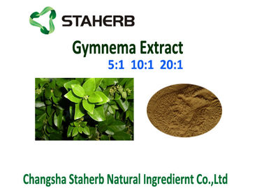 China Pharma Grade Herbal Extract Ratios , Gymnema Sylvestre Leaf Extract 5/1 --100/1 supplier