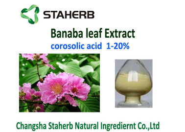 China Corosolic Acid Weight Losing Raw Materials , Banaba Leaf Extract Powder HPLC Test supplier