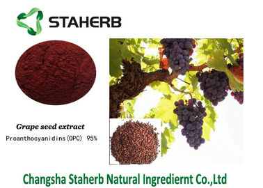China Grape Seed Extract Standard Reference Materials Proanthocyanidins Polyphenols Contained supplier