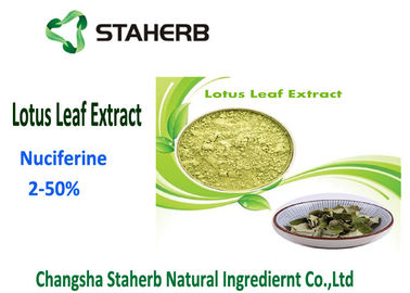 China Herbal Weight Losing Raw Materials , Flavonoids Plant Lotus Leaf Extract Powder supplier