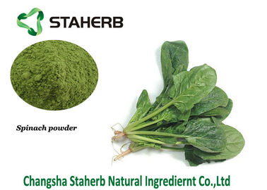 China Organic Spinach Leaf Extract Powder Vitamin K Contained Natural Food Pigment supplier