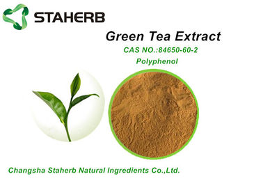 China Raw Natural Cosmetic Ingredients Organic Green Tea Powder 98% Polyphenol supplier