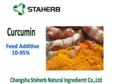 China Raw Material Phytogenic Feed Additives , Turmeric Curcumin Powder 10-95% Purity supplier