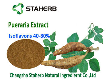 China Isoflavons40%~80% Pueraria Lobata Root Extract Light Brown Powder CAS 3681 99 0 supplier