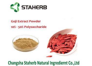 China Natural Barbary Male Enhancement Powder , Gojiberry Wolfberry Fruit Extract supplier