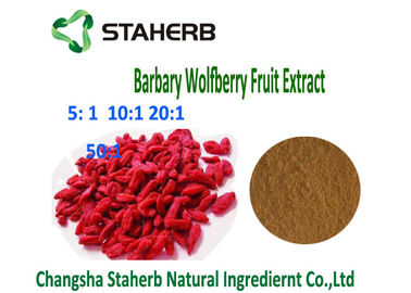China Natural Barbary Wolfberry Goji Berry Extract 4/1 10/1 Ratio Brown Powder Anti - Tumor supplier