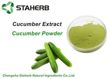 China Organic Dehydrated Cucumber Extract Powder Light Green For Food / Cosmetic supplier