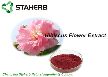 China Anthocyanins 5% Natural Cosmetic Ingredients Dried Hibiscus Flower Extract Powder supplier
