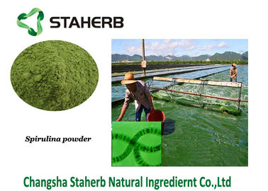China Phycocyanin Weight Losing Raw Materials , Organic Spirulina Powder Solvent Extraction supplier