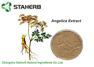 China Natural Plant Angelica Root Extract Powder Ligth Brownish Yellow 1% Ligustilide HPLC supplier