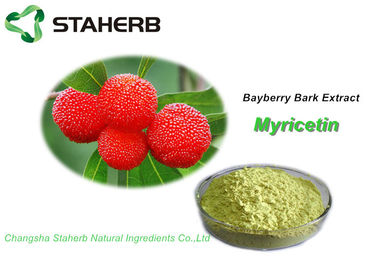 China Bayberry Bark Pure Natural Plant Extracts Powder Herbal CAS 529 44 2 HPLC supplier