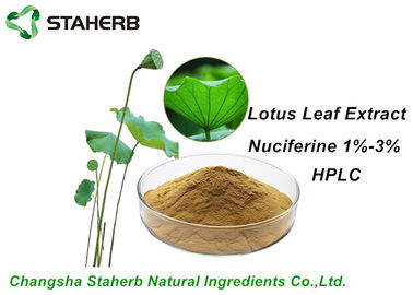 China Weight Losing Raw Materials Ingredients Lotus Leaf Extract Nuciferine1%-3% HPLC supplier