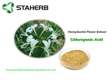 China Anti-inflammatory Antibacterial Plant Extracts Honeysuckle Flower Extract Chlorogenic acid supplier