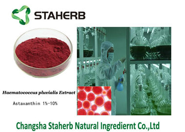 China Astaxanthin 472-61-7 Concentrated Plant Extract Haematococcus pluvialis extract supplier