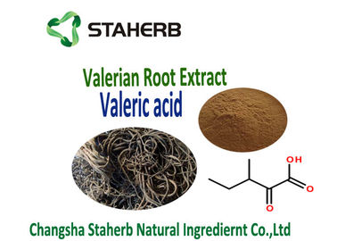 China Valerian Root Extract used for Antibacterial and Antiviral Plant Extract Valearic adid supplier