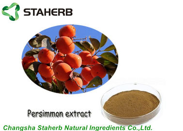 China Concentrated Persimmon Extract Powder Plant Extract Kaempferol by HPLC supplier