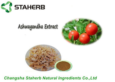 China Pure Natural Plant Extract Ashwagandha Extract Withanolides By HPLC supplier