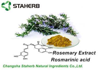 China Anti - Aging Organic Rosemary Extract Rosmarinic Acid 5%,10%,15% By HPLC supplier