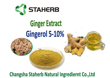 China Ginger extract  5%, 10%, 20%, 50% Gingerol by SCFE CO2 Raw materials for gastrointestinal supplier