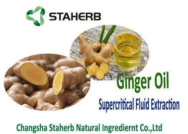 China Supercritical Fluid Extraction Ginger extract Ginger Oil Plant Extract Ginger Oil supplier