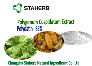 China Pure natural extract Polygonum Cuspidatum Root Polydatin Powder 98%,50% HPLC 65914-17-2 supplier